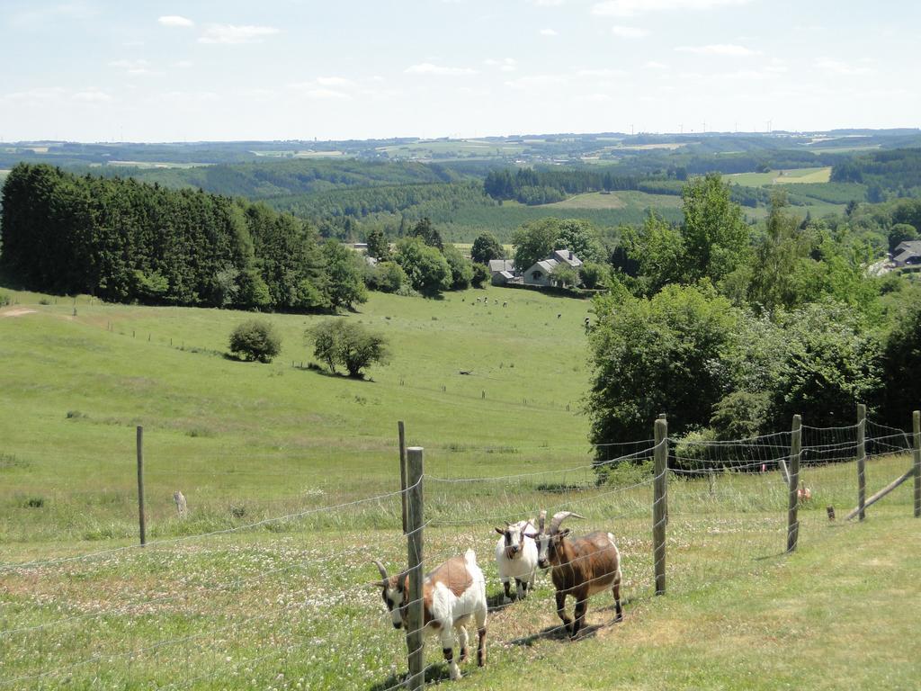 Holiday Home A Pas De Loup La-Roche-en-Ardenne Ruang foto